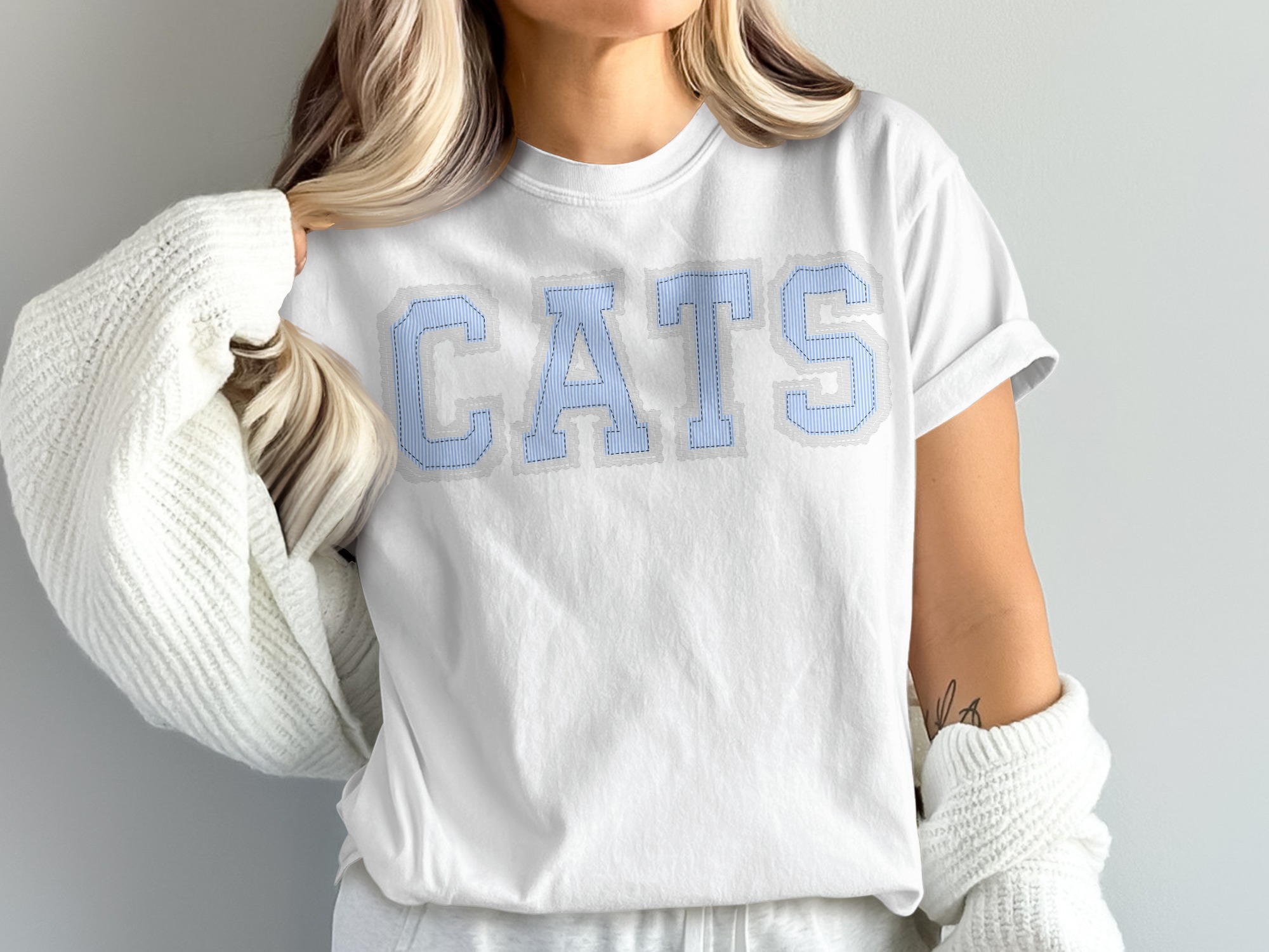 Cute Cats T-Shirt Comfort Colors 1717, Cat Lover Shirt, Trendy Aesthetic Tee, Cat Graphic Shirt, College Cat T-Shirt, Soft Comfy Shirt, prepster preppy