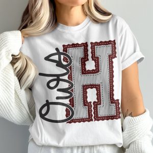 Ohio T-Shirt, Comfort Colors Shirt, State Pride Tee, College University, Initial H Shirt, Trendy Graphic Tee, Oversized Shirt, prepster preppy