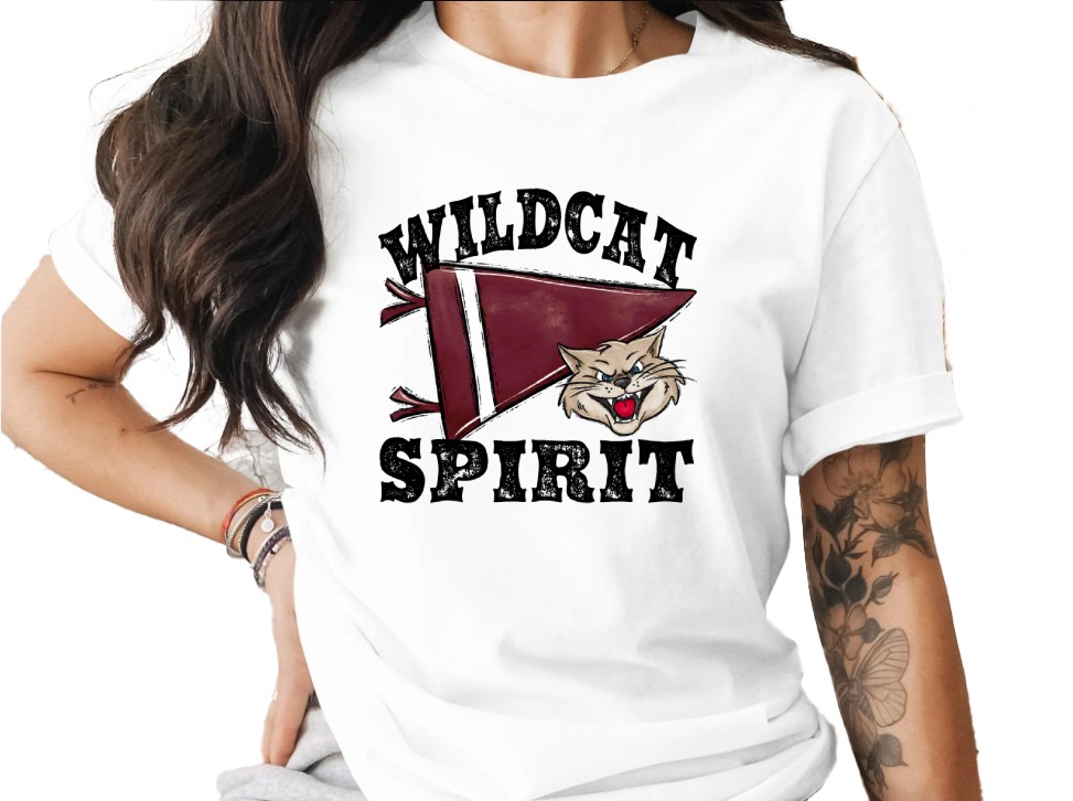 Wildcat Spirit T-Shirt, School Mascot Tee, Vintage Style Wildcat, Pennant Design, College Sports Apparel, Fan Gear, Wildcat T Shirt
