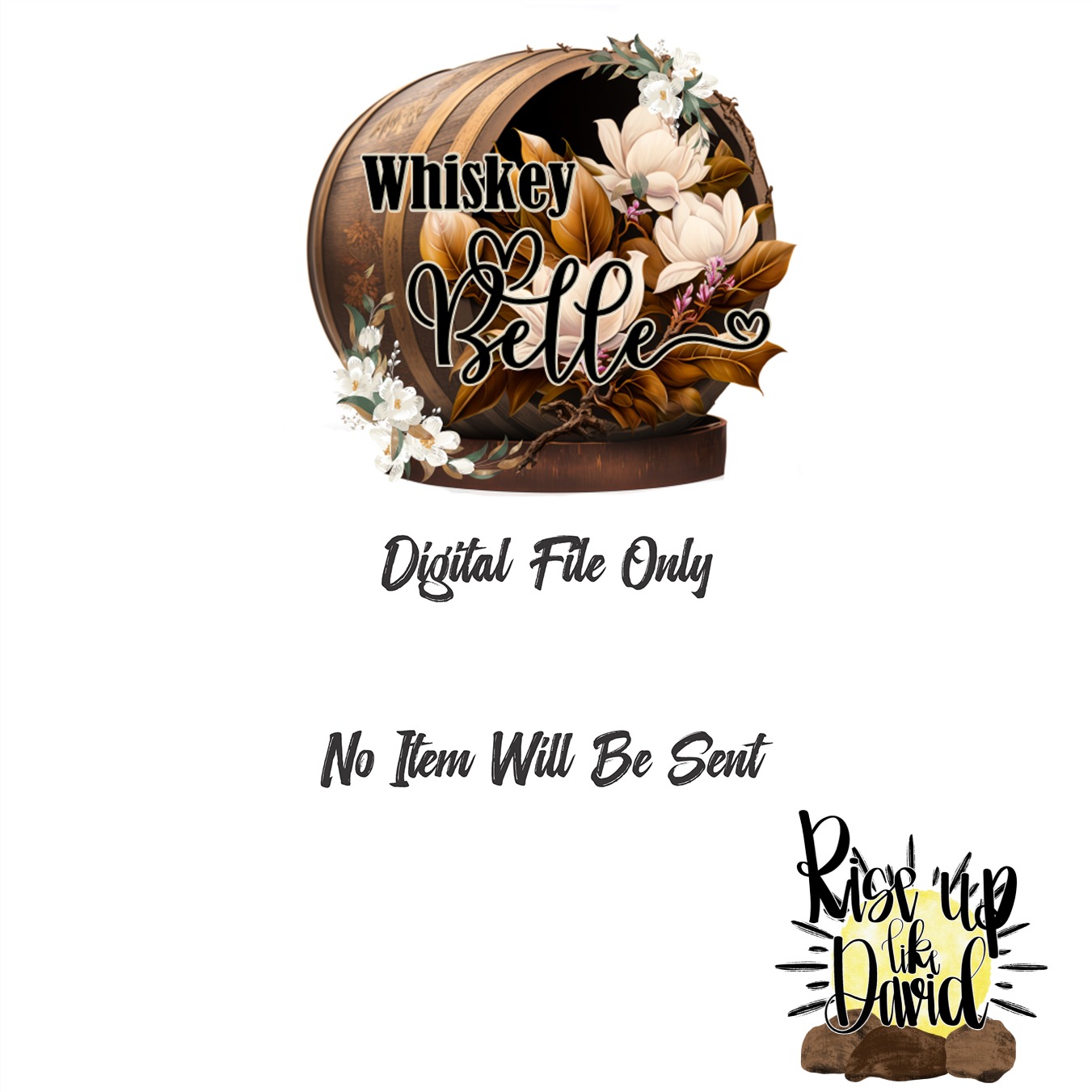 Rise Up Like David Digital Download, Christian Sublimation PNG, Inspirational DTF Design, Faith Based Graphic, Religious Art Printable - Image 3