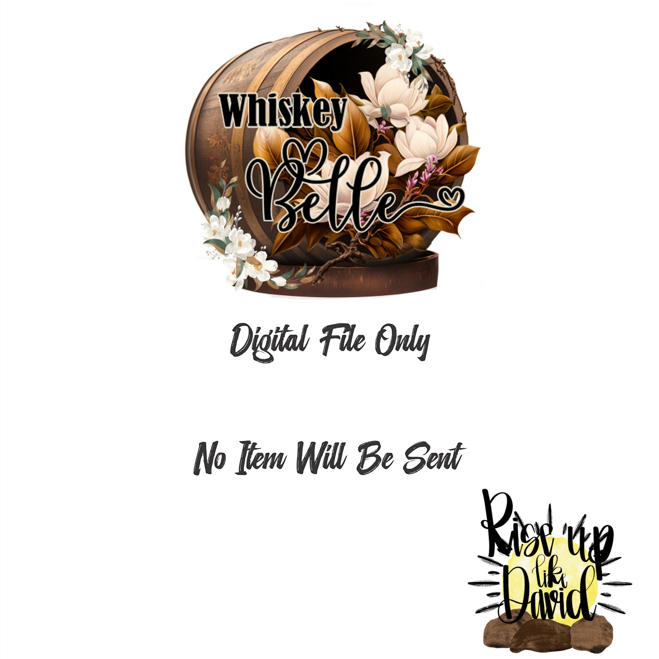 Rise Up Like David Digital Download, Christian Sublimation PNG, DTF Ready Design, Religious Wall Art, Inspiring Bible Verse Art - Image 3