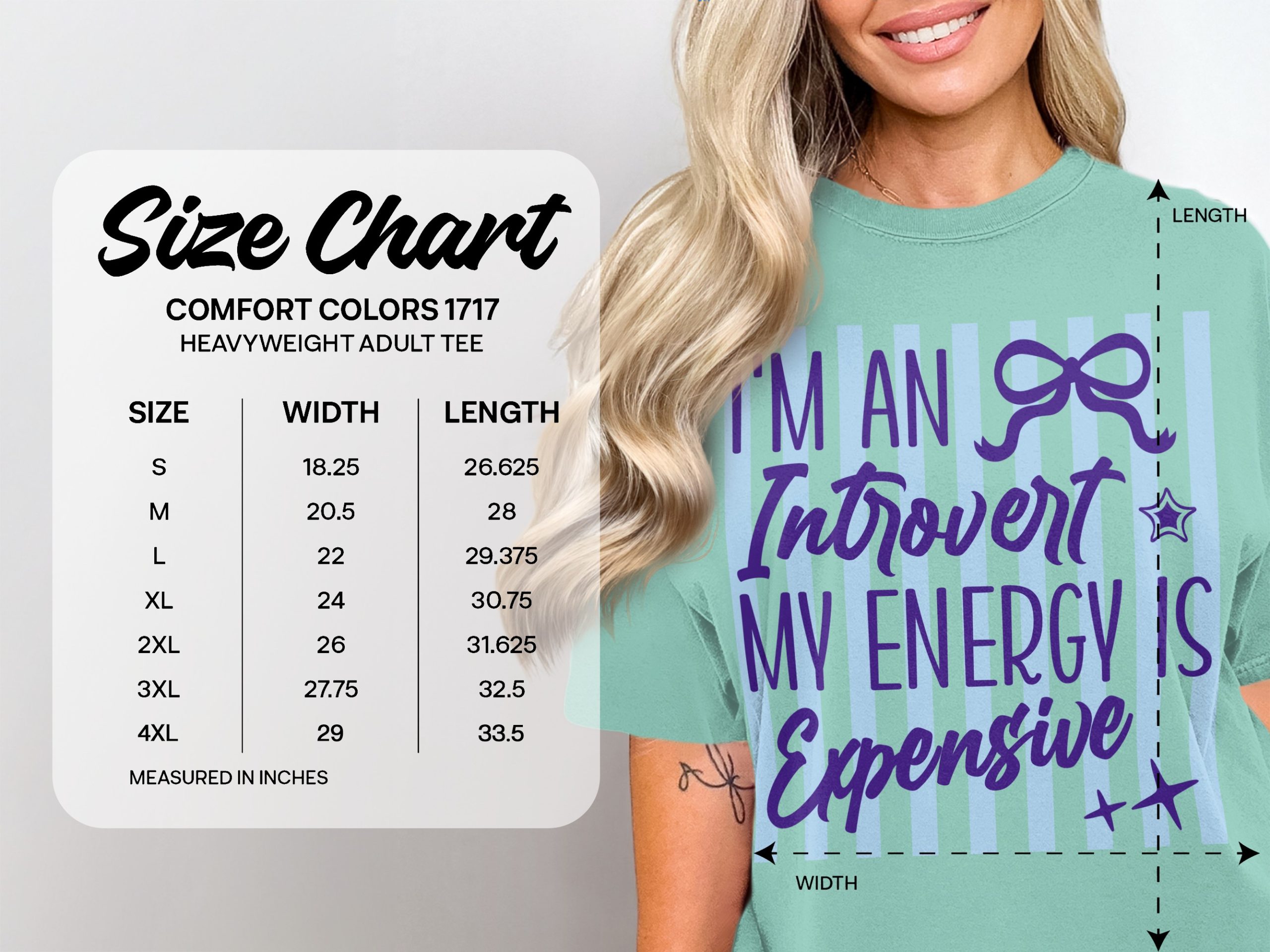 Comfort Colors® Introvert T-Shirt, My Energy Is Expensive Funny Tee, Quiet Person Gift, Social Battery Merch, Sarcastic Quote Shirt, Unique - Image 6